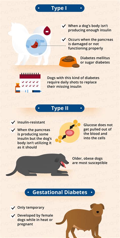 What Causes Diabetes For Dogs